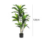 Artificial Indoor Dracaena Plant