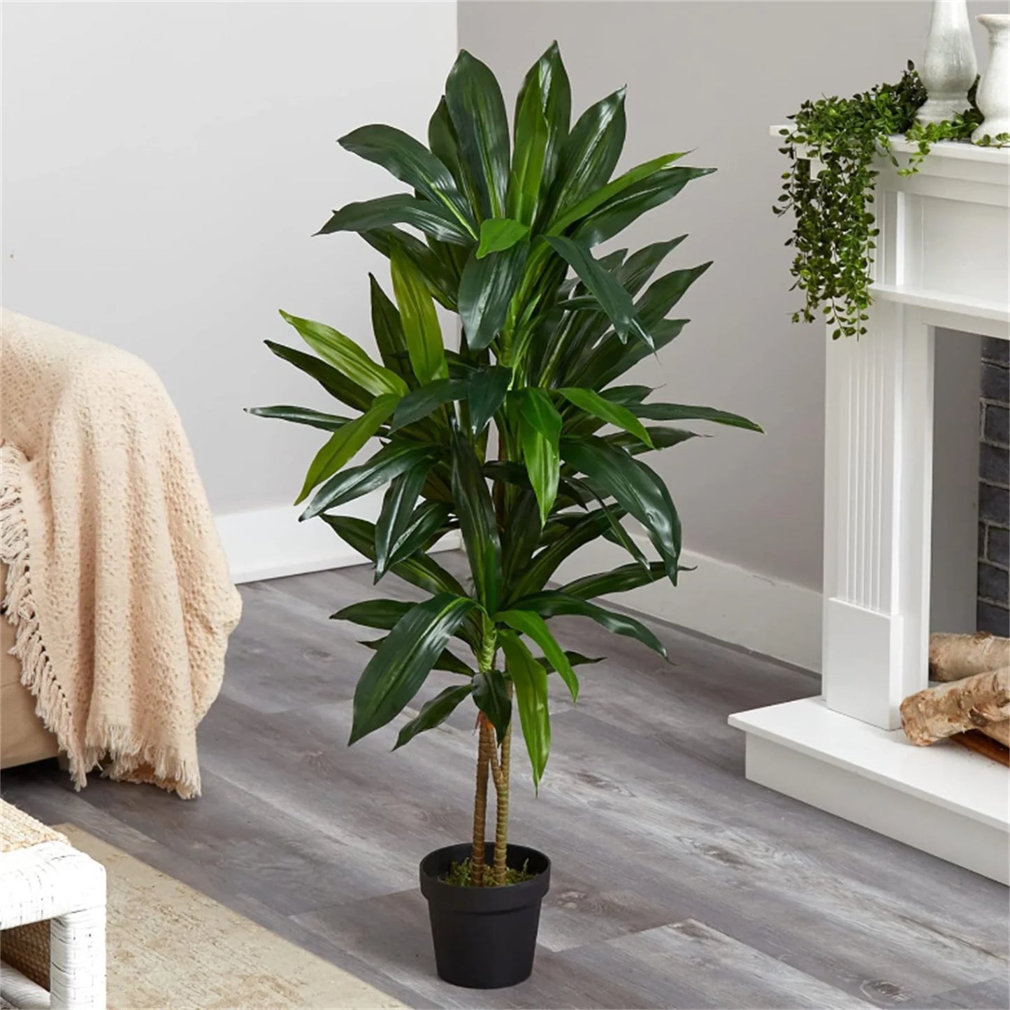 Artificial Indoor Dracaena Plant