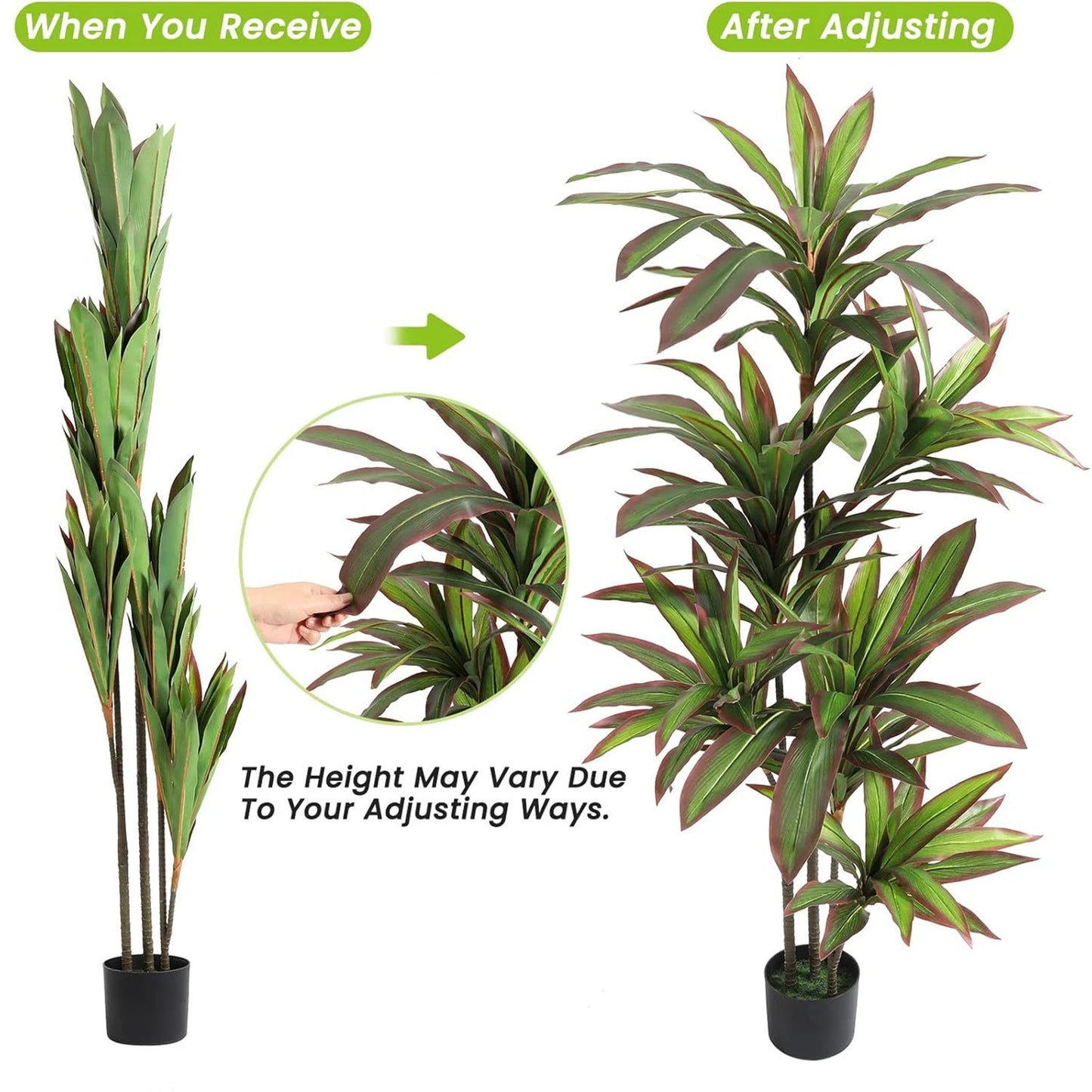 Artificial Indoor Dracaena Plant