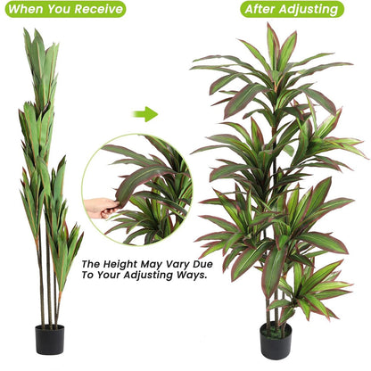 Artificial Indoor Dracaena Plant