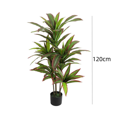 Artificial Indoor Dracaena Plant