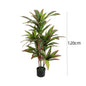Artificial Indoor Dracaena Plant